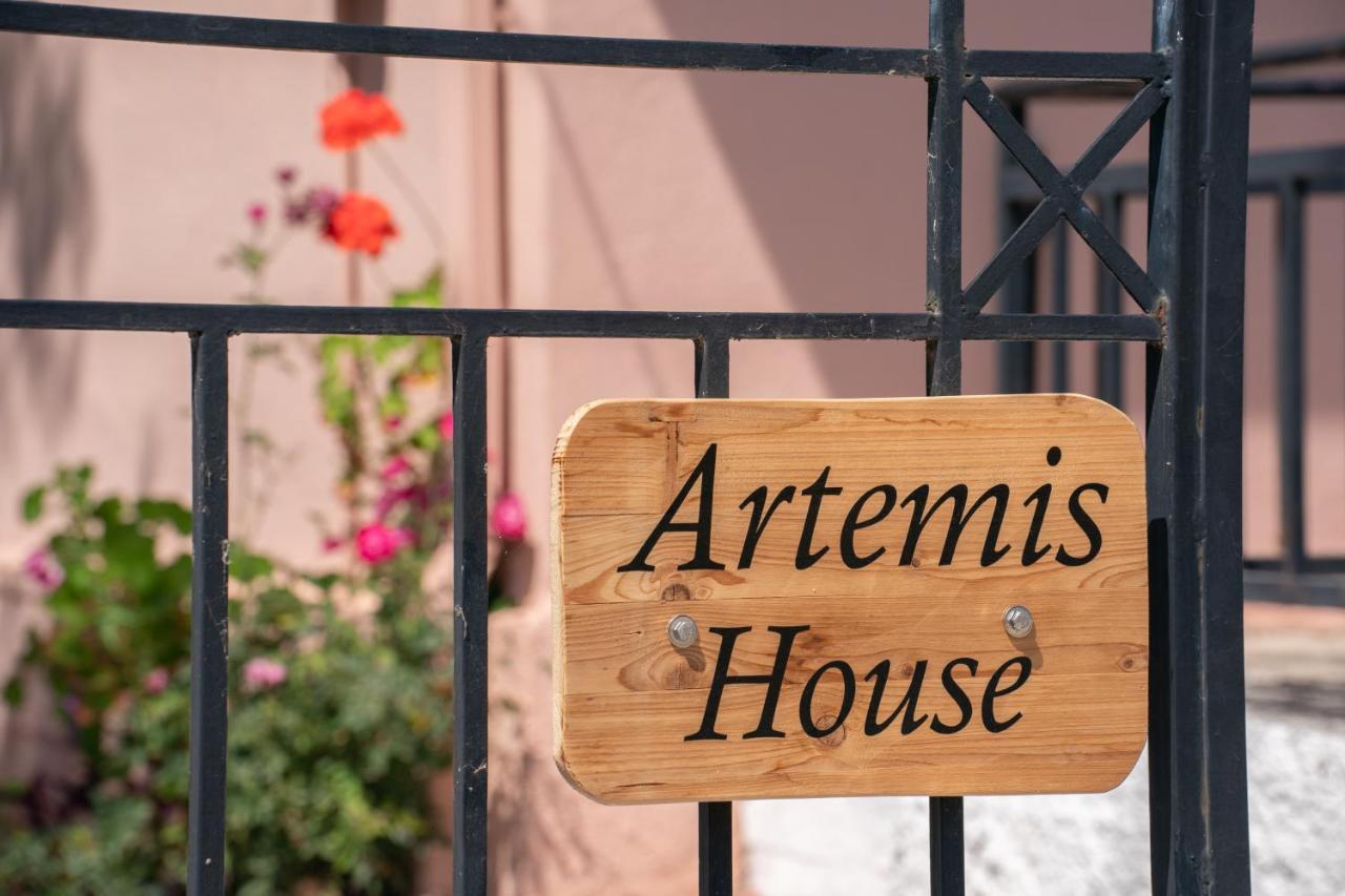 Artemis House Σπίτι διακοπών *